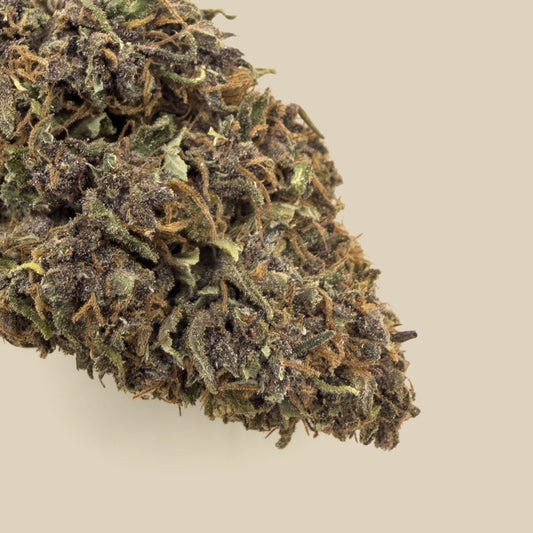 Fleur CBD Shaolin Gleaux Premium