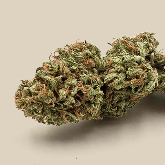 Fleur CBD Buddha Passion Bio Premium