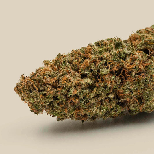 Fleur CBD Lemon Diesel Bio Premium