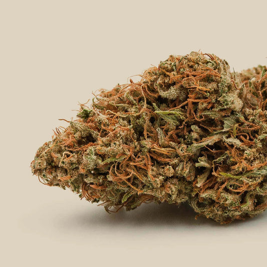 Fleur CBD Magistra Bio Premium