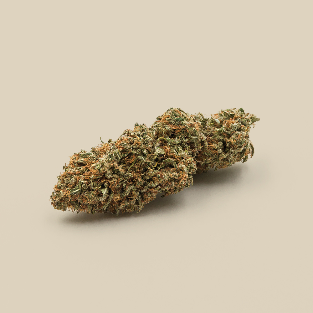 Canebiera Lemon Diesel CBD bio