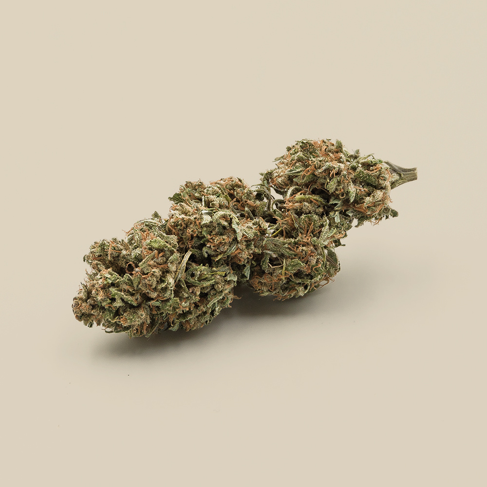 Canebiera Helvetica CBD bio