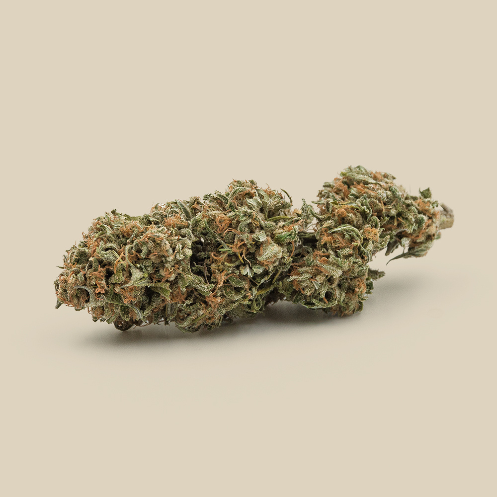 Canebiera Helvetica CBD bio