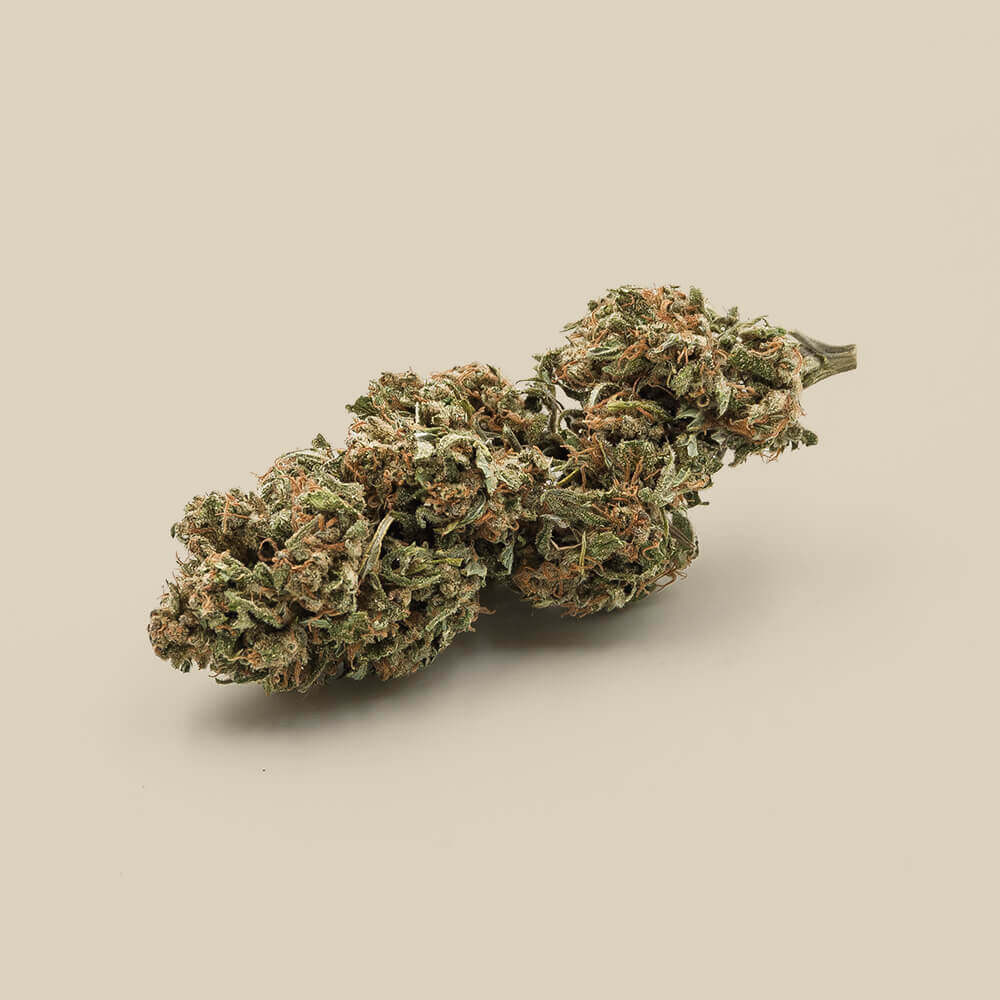 Flower Helvetica CBD organic