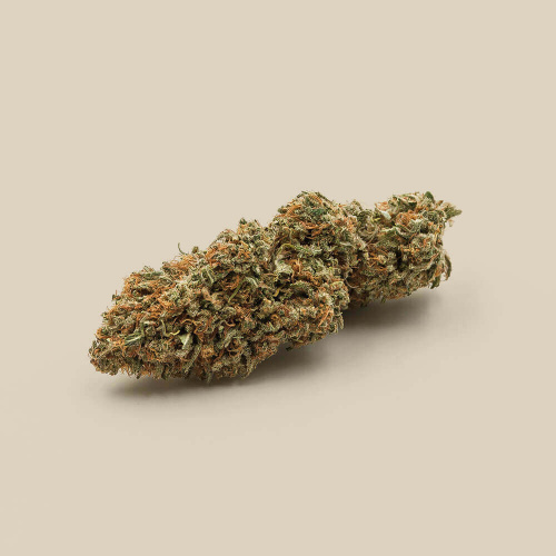 Canebiera Lemon Diesel organic CBD