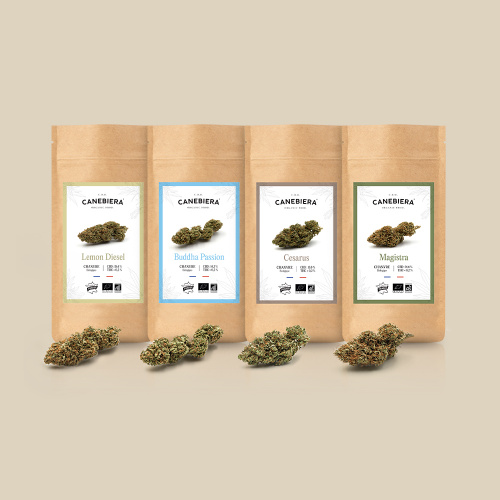 Pack Découverte n°1 de Fleurs CBD Bio Premium Canebiera