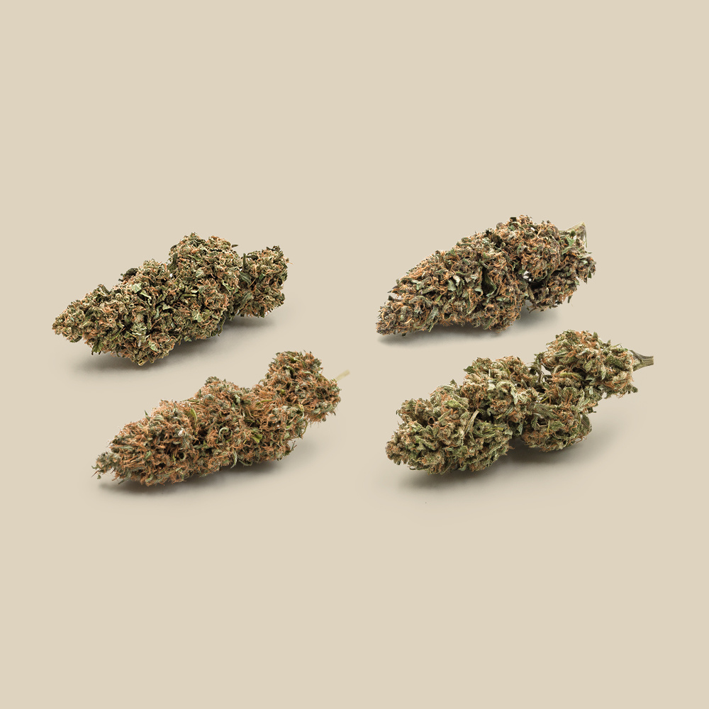 Canebiera Bio Premium CBD Flower Discovery pack N°2