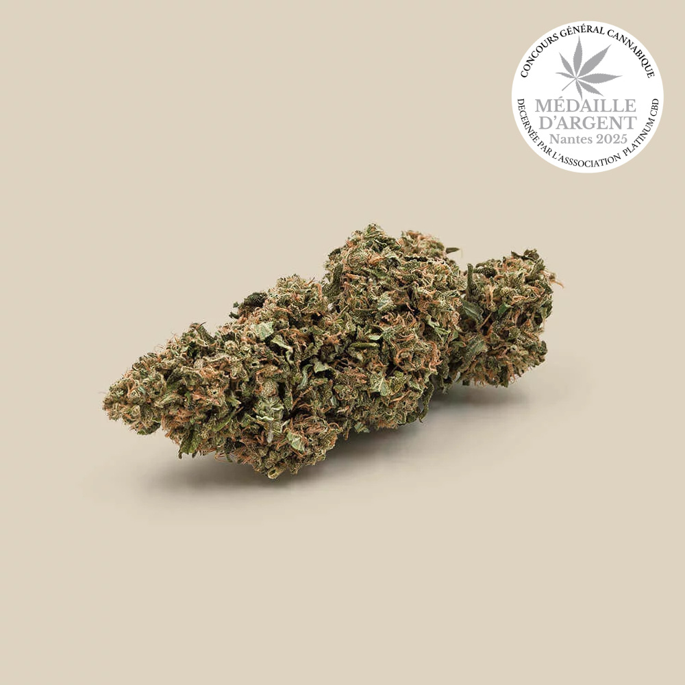 Fleur CBD Mango Bio Premium