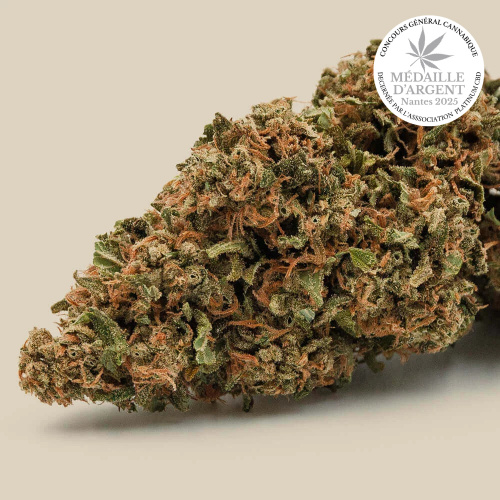 Flower Mango organic CBD