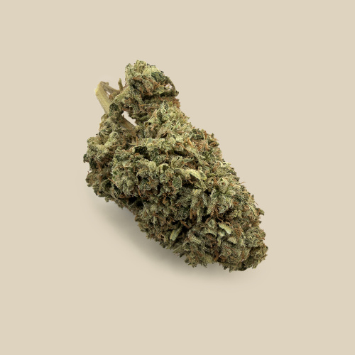 Flower Mango organic CBD