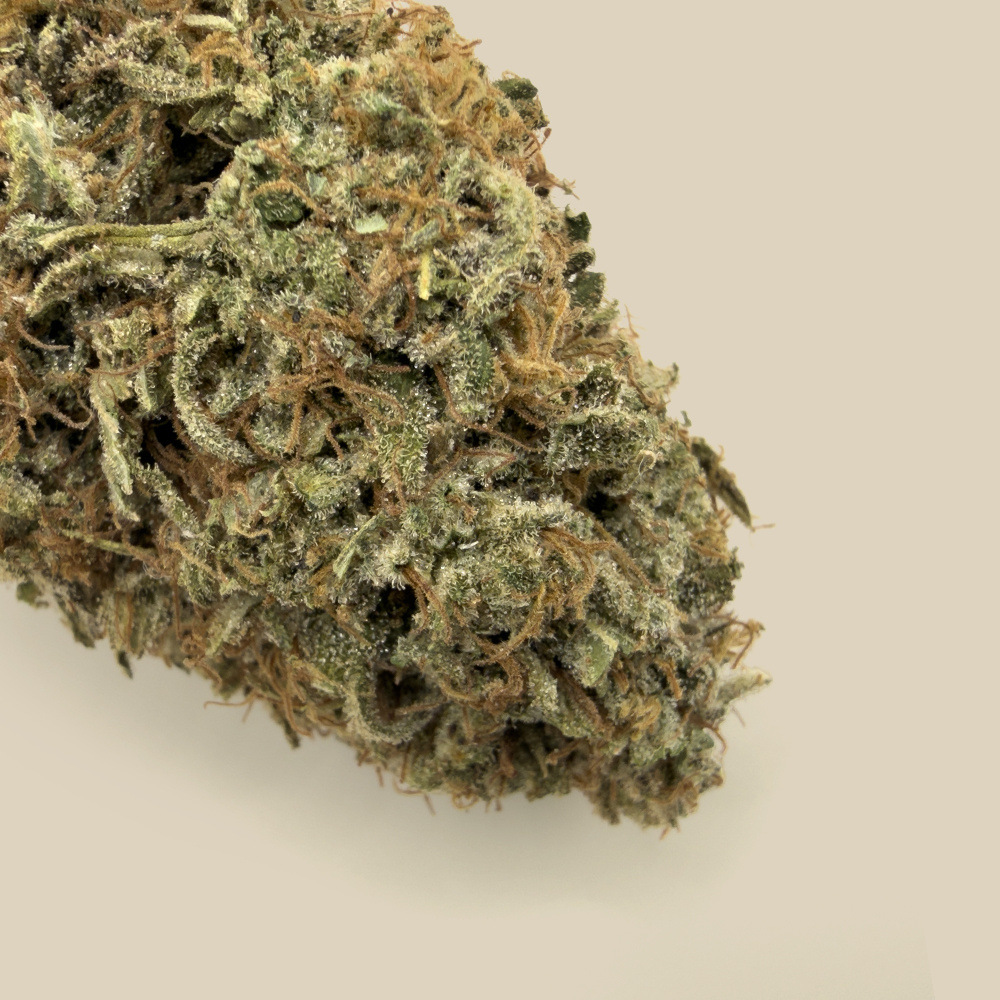 Fleurs de CBD Lemon Diesel CBD bio