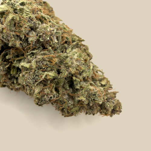 Fleur CBD Blue Mango Bio Premium