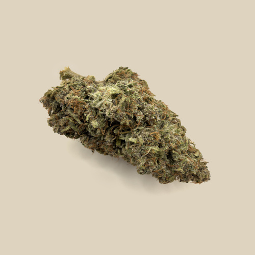 Fleur CBD Pink Lemonade Bio Premium