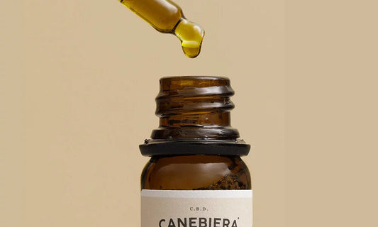 CBD : tout savoir sur les contre-indications