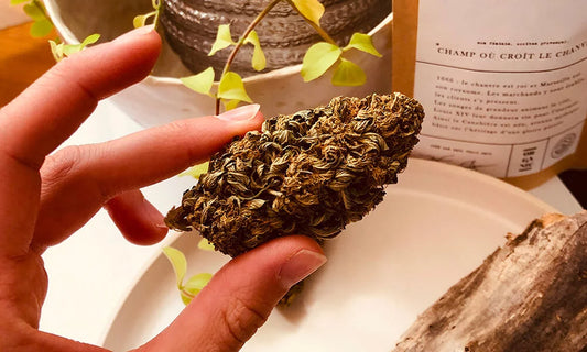 CBD et CBG, les secrets de leurs bienfaits.