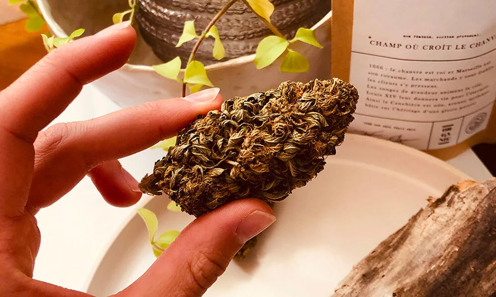 CBD vs CBG : Différences, Effets et Synergie des Cannabinoïdes