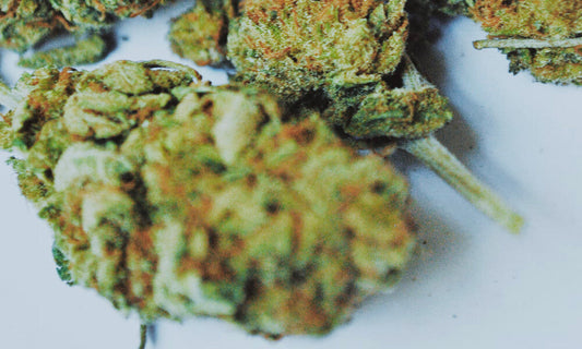 La limite en THC pourrait augmenter à 0,3% en Europe