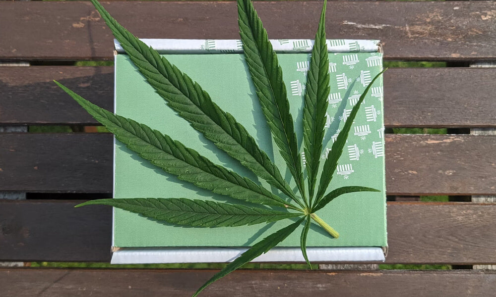 La France autorise la culture et la production du cannabis médical