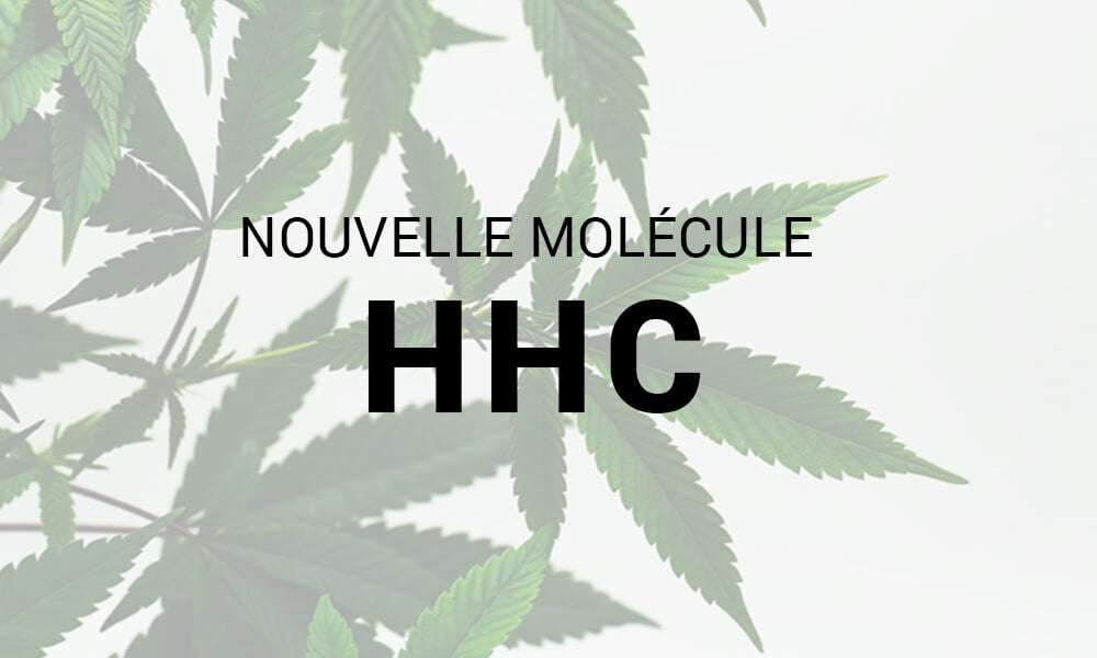 Cannabis : le HHC, une nouvelle molécule proche du THC ?