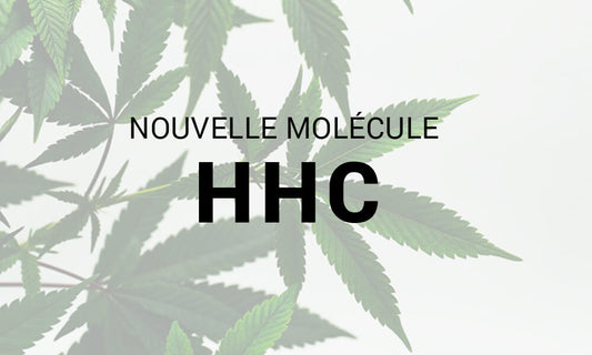 Cannabis : le HHC, une nouvelle molécule proche du THC ?