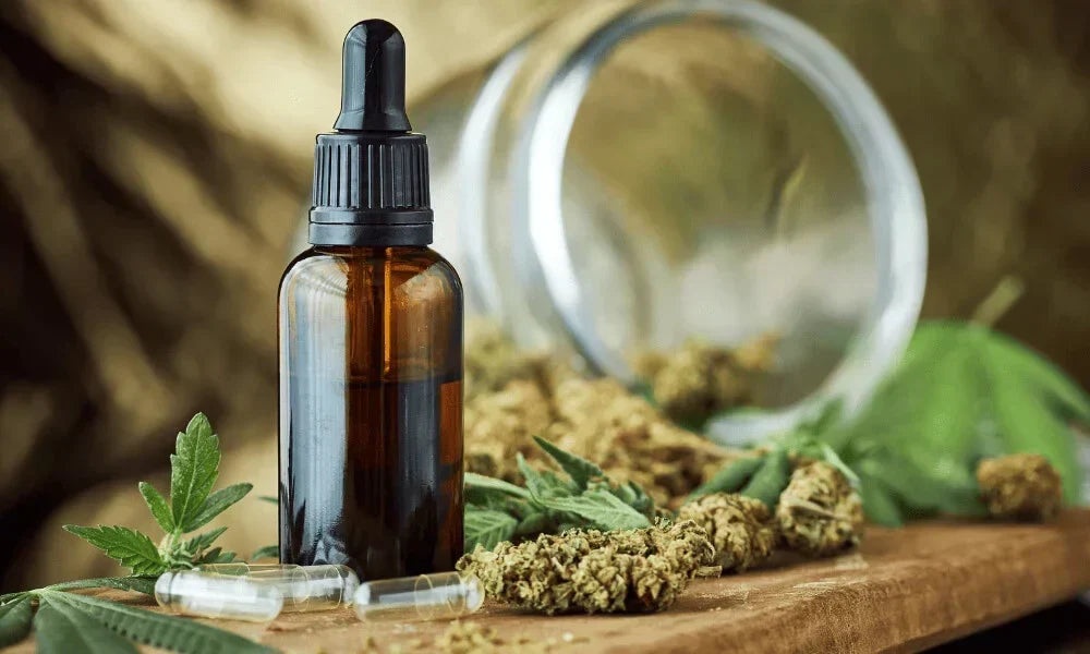 Quel CBD Choisir pour se Détendre ? Guide des Formats et Usages Naturels