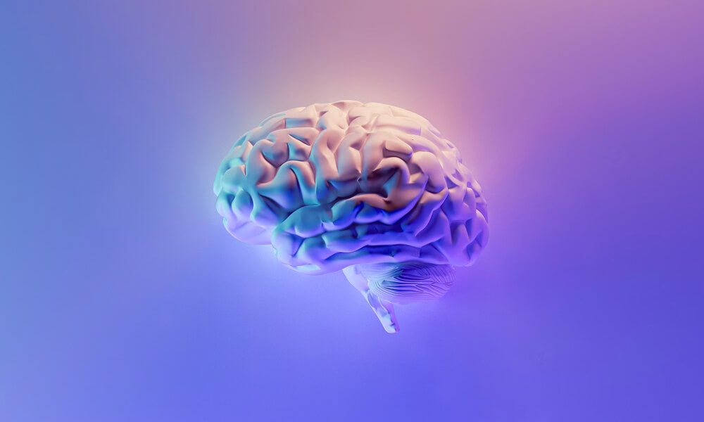 CBD et cancer du cerveau : Ce que disent les études scientifiques