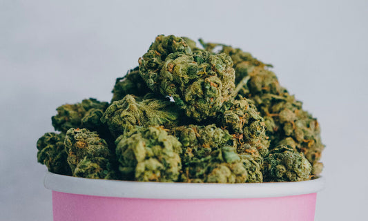 CBD et THC : Comprendre les Différences Fondamentales