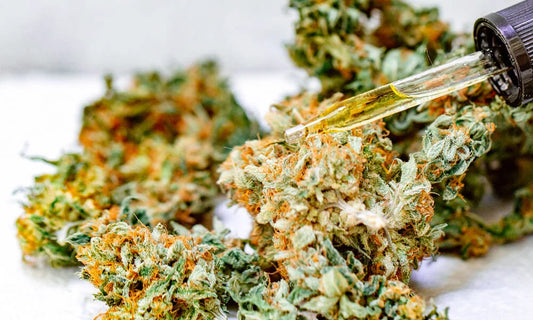 Quels sont les effets secondaires indésirables du CBD ?