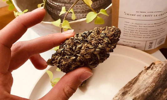 Quelle forme de CBD est la plus efficace ?