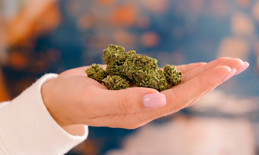 Guide d'achat : Comment reconnaître un CBD de haute qualité ?