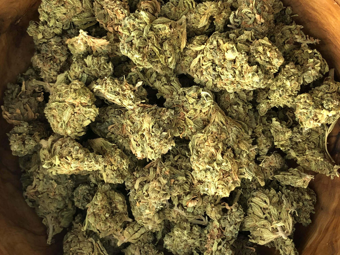 Pourquoi votre fleur CBD ne sent pas toujours pareil ?