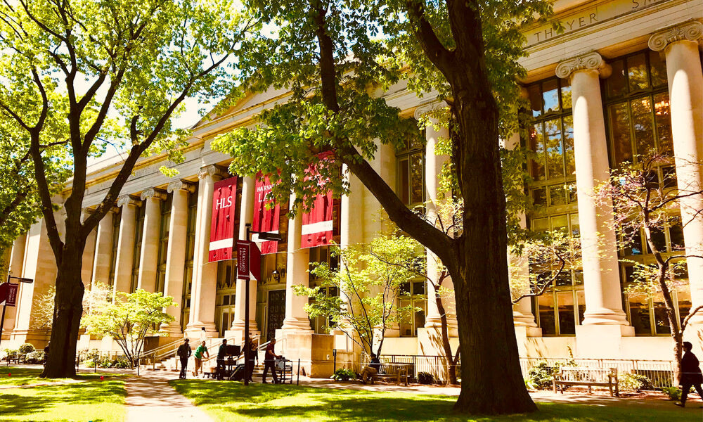 Recherche sur le Cannabis : Harvard reçoit 4,5 millions de dollars de dons