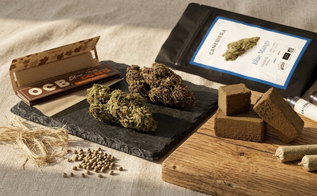 Le meilleur du CBD