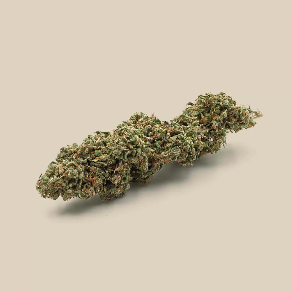 Cesarus Organic Premium CBD Flower