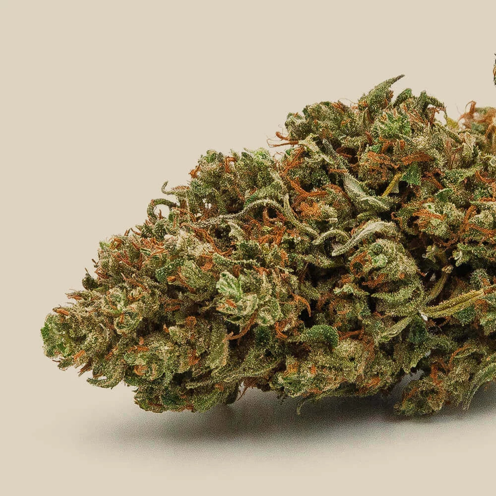 Cesarus Organic Premium CBD Flower