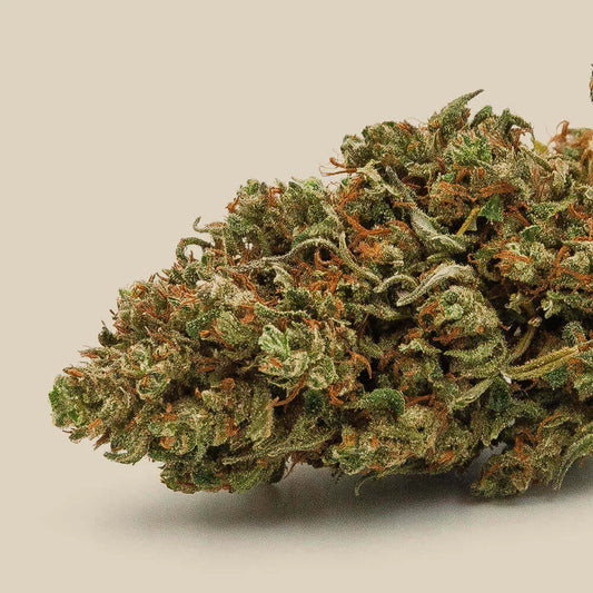 Fleur CBD Cesarus Bio Premium