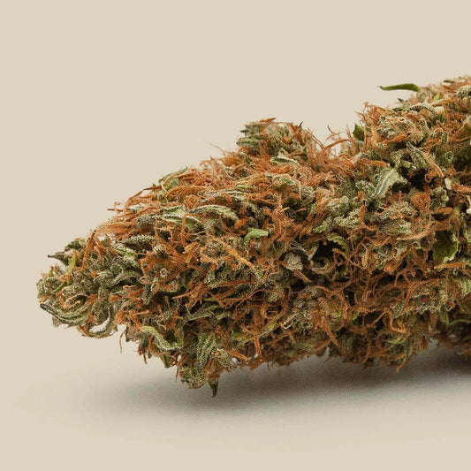 Fleur CBD Dulcis Bio Premium