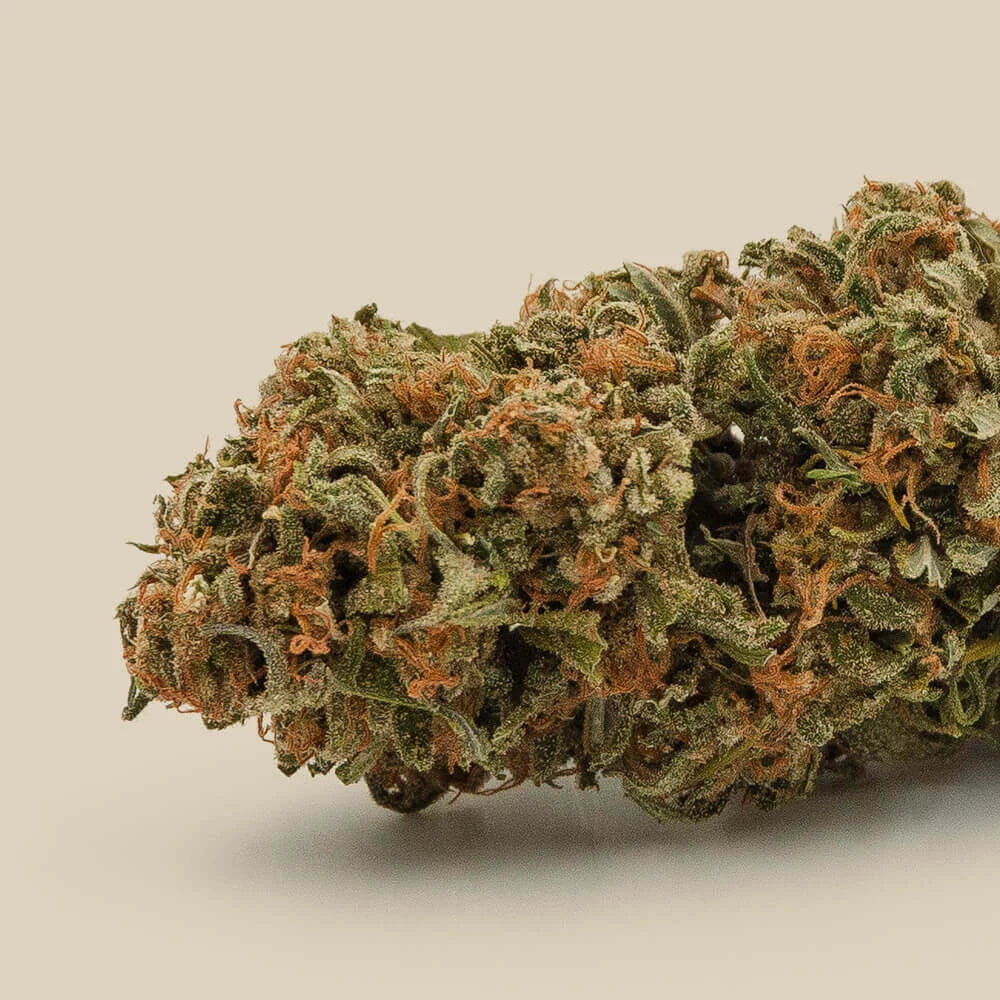 Premium Organic Helvetica CBD Flower