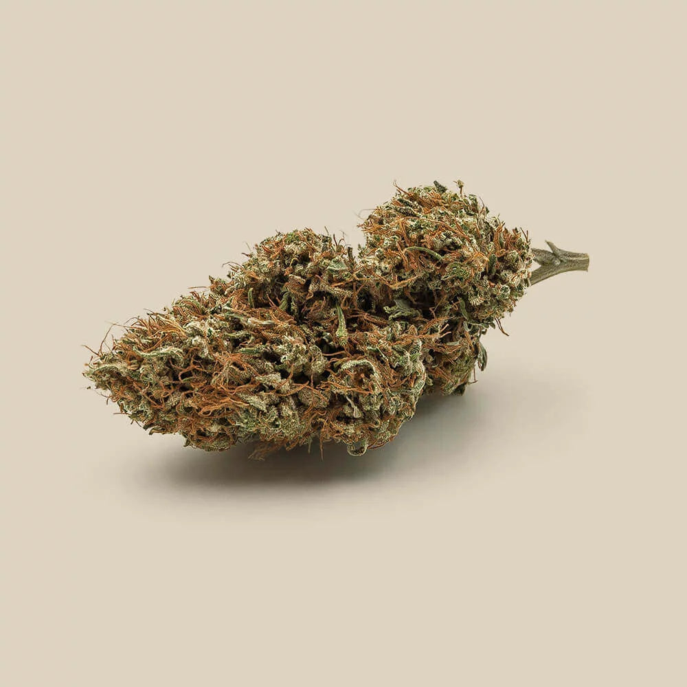 Magistra Organic Premium CBD Flower