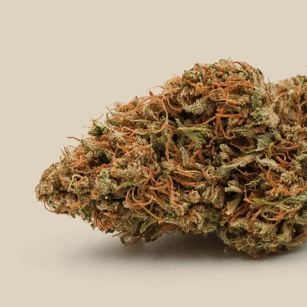 Magistra Organic Premium CBD Flower