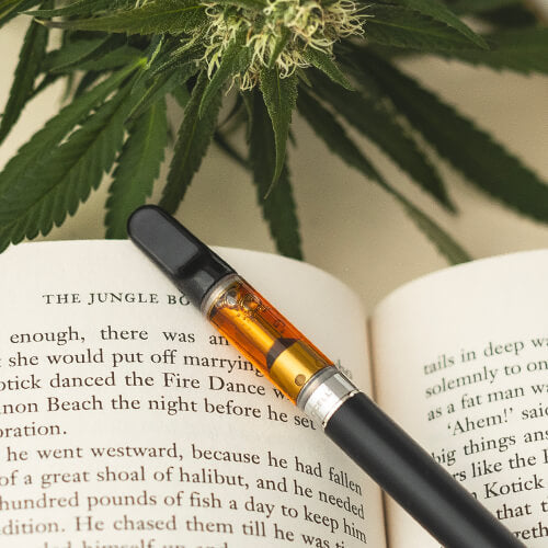 Vapotage CBD CANEBIERA Vapotage CBD CANEBIERA