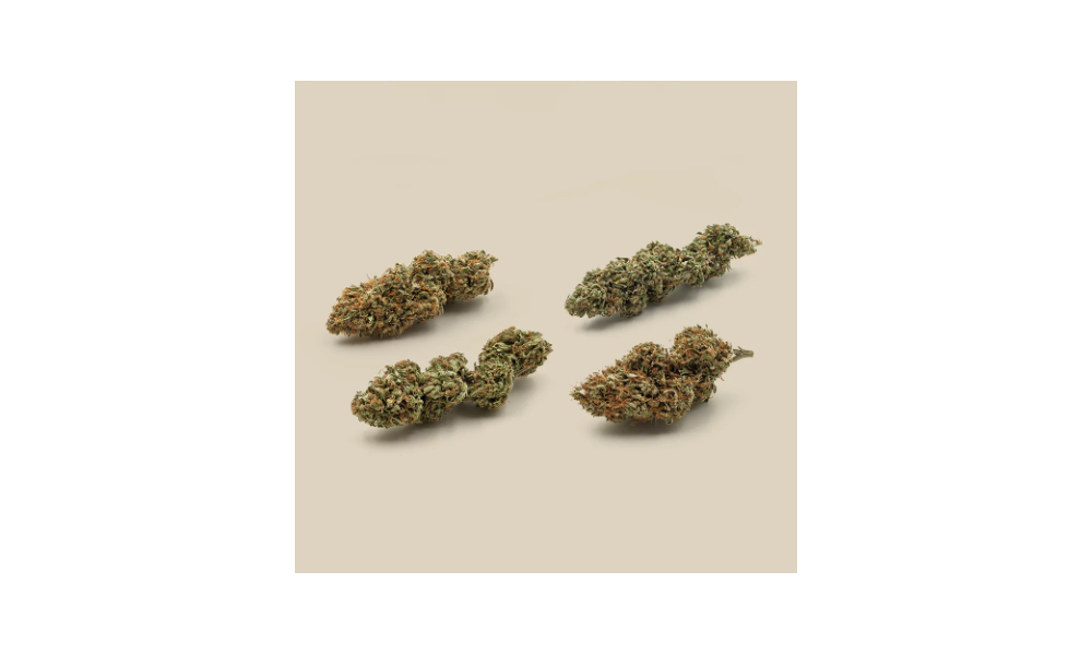 Pourquoi votre fleur CBD ne sent pas toujours pareil ?