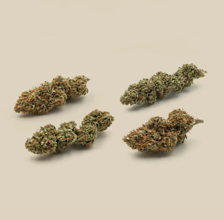 curing cbd