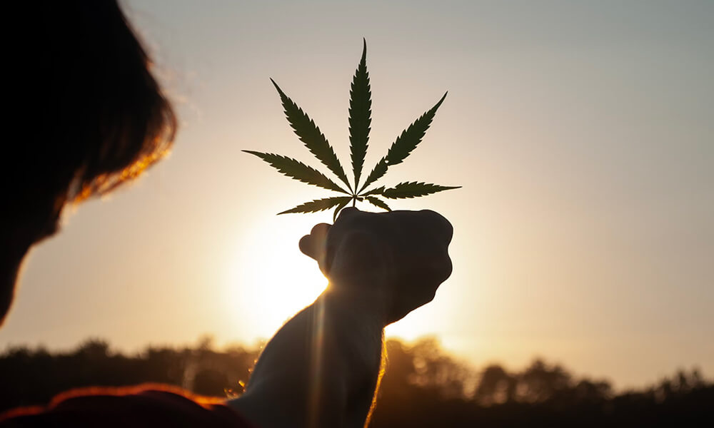 Le CBD pour arrêter le cannabis