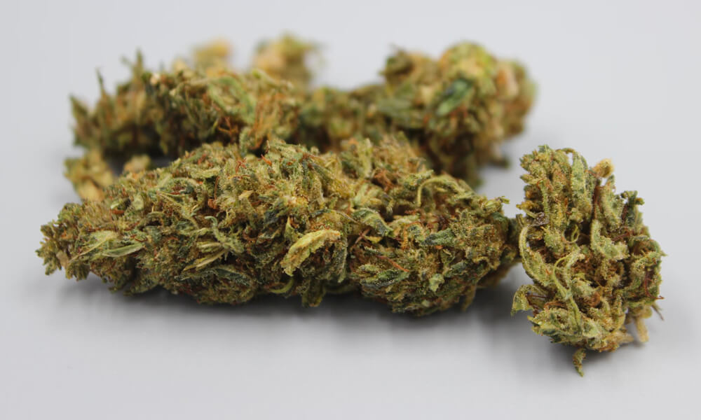 Cannabis : autorisation définitive du Conseil d’État à la vente de fleurs de CBD