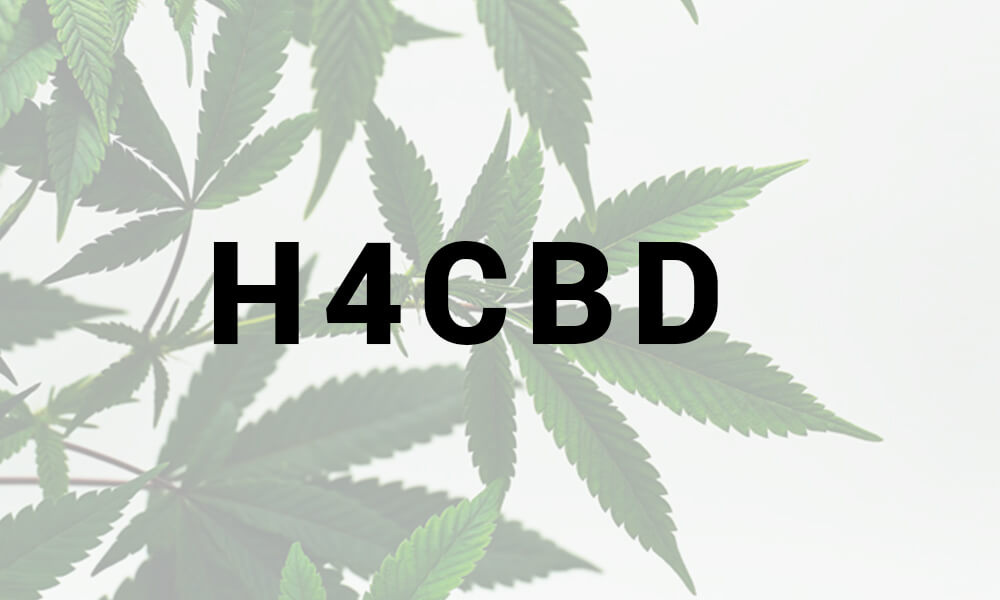 Cannabis : Qu’est-ce que le H4CBD ?