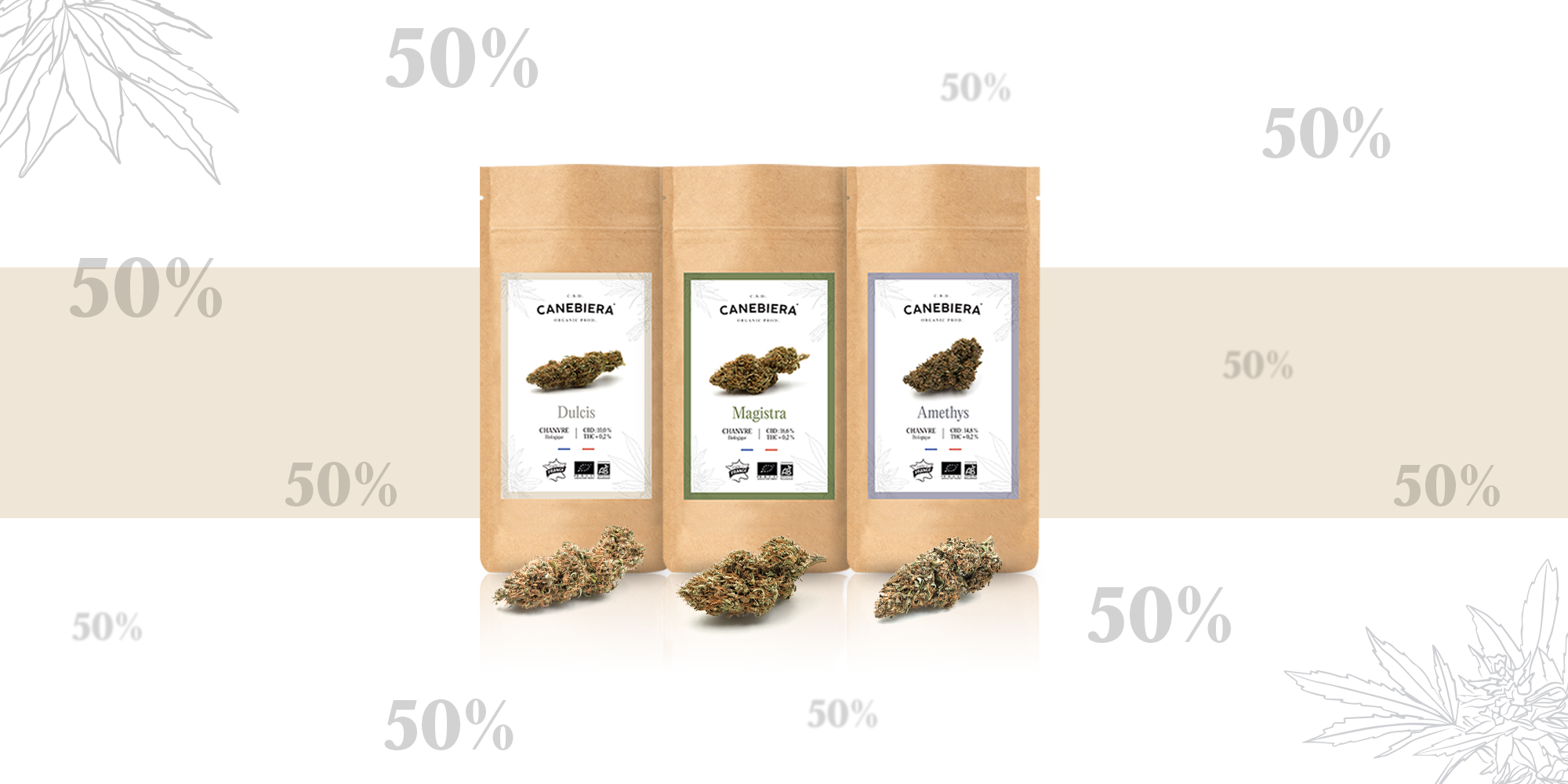 DESTOKAGE 50% sur Amethys, Magistra et Dulcis