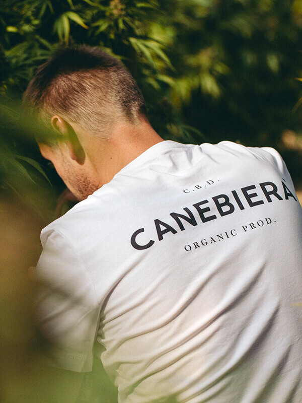 The advantages of Canebiera 